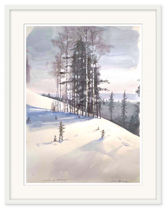 Curt Hamne - Marsljus på Skuruberget - Bild 2