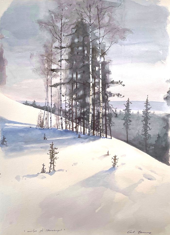 Curt Hamne - Marsljus på Skuruberget