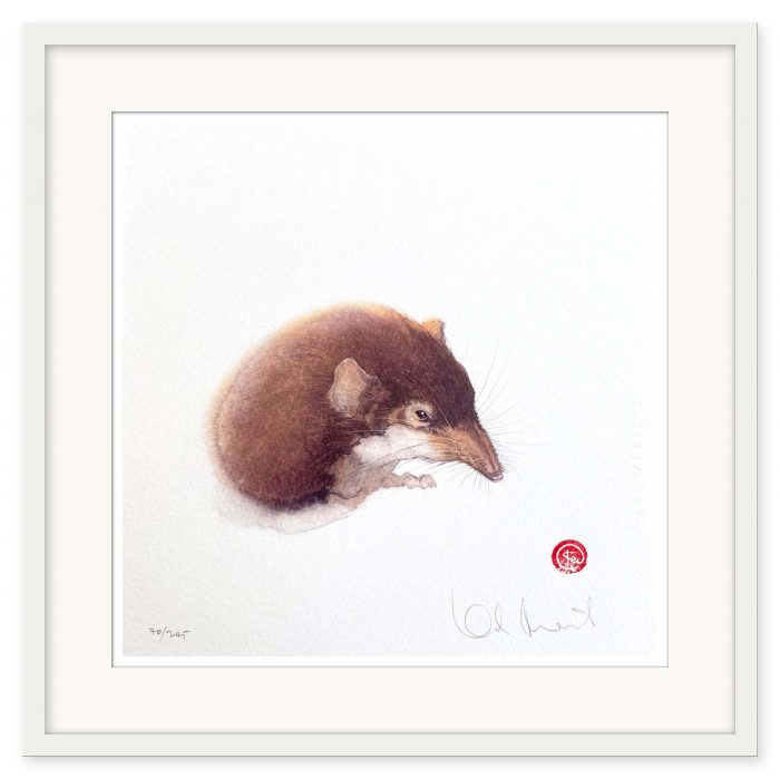 Karl Mårtens - Näbbmus - Bild 2