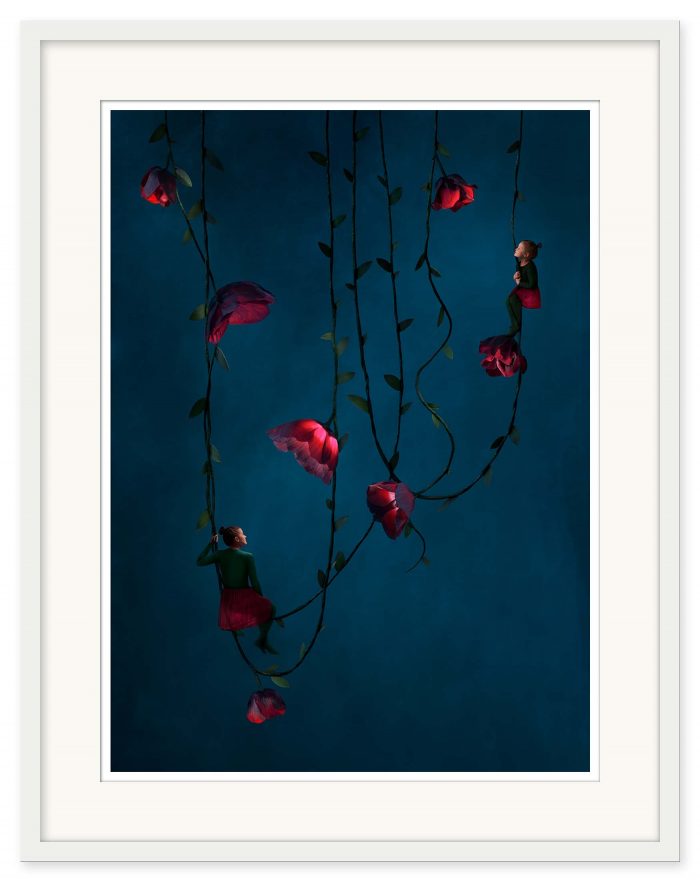 Sonja Hesslow - Nurture - Bild 3