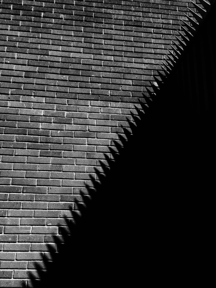 Gussy Löwenhielm - See. Saw.