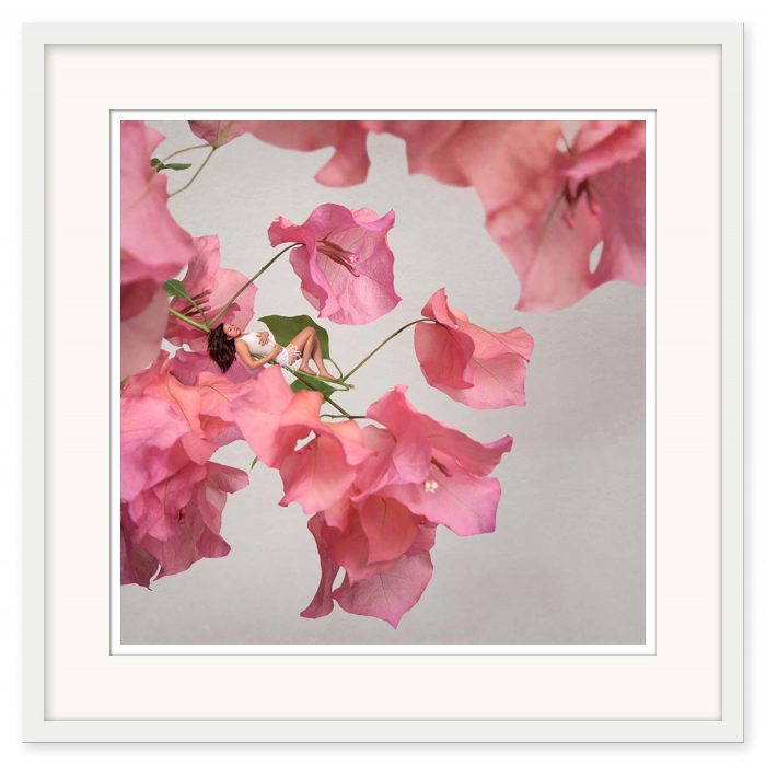 Sonja Hesslow - Bougainvillea - Bild 2