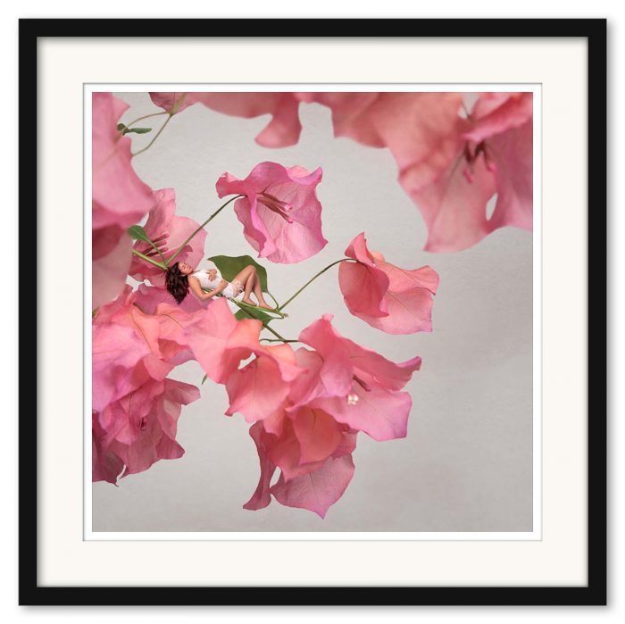 Sonja Hesslow - Bougainvillea - Bild 3