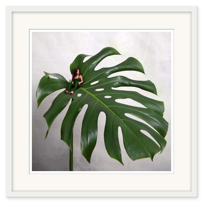 Sonja Hesslow - Monstera - Bild 3