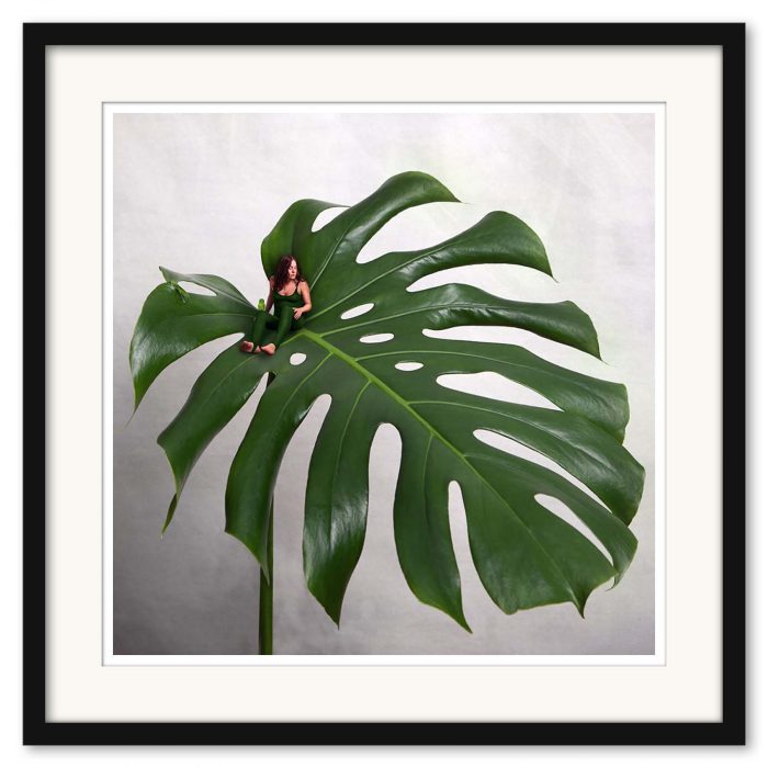 Sonja Hesslow - Monstera - Bild 2
