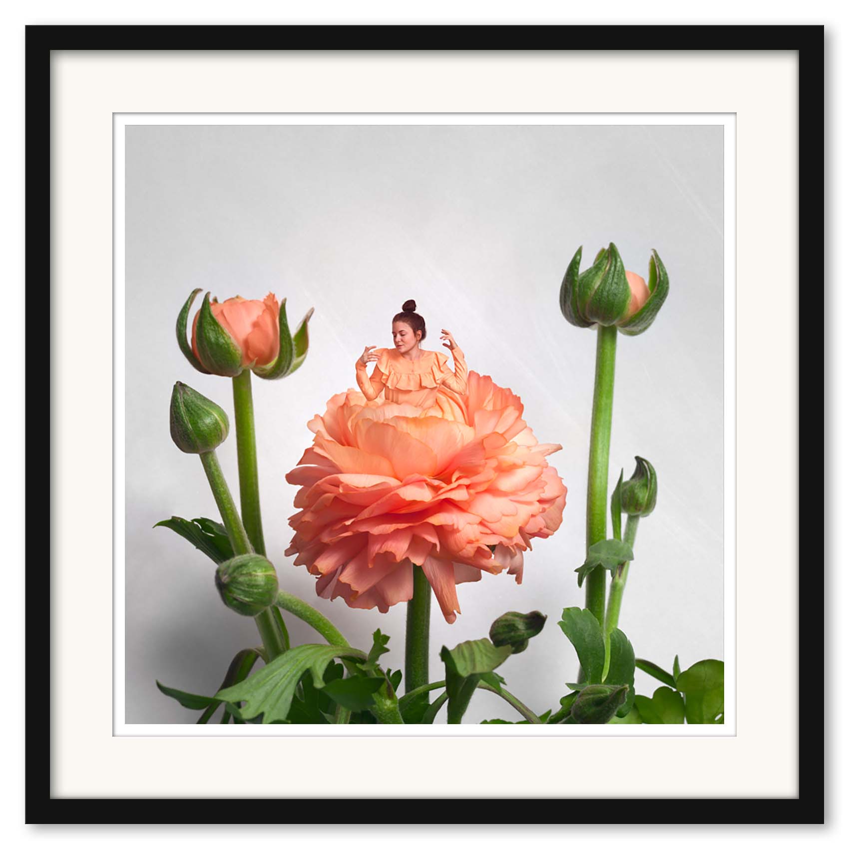 Sonja Hesslow - Ranunculus - Bild 3