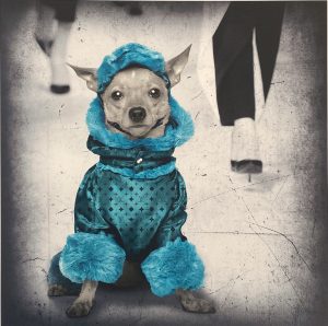 Lars Tunebo - Catwalk mini blue