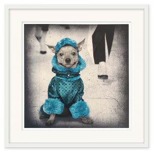 Lars Tunebo - Catwalk mini blue - Bild 2