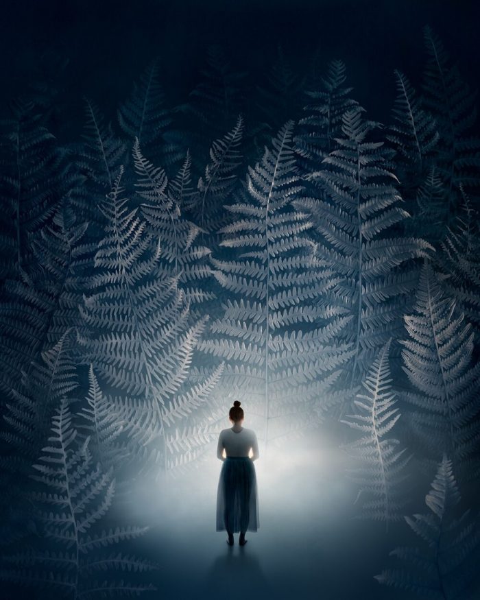 Sonja Hesslow - Keep the light on, forest