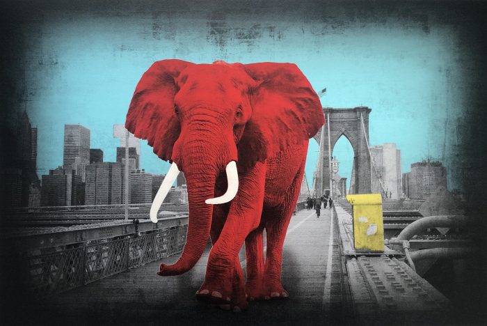 Lars Tunebo - Tripping on Brooklyn bridge