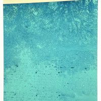 Joakim Allgulander - Blue reflection