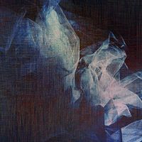 Fanny Oldenburg - Out of me No. 7