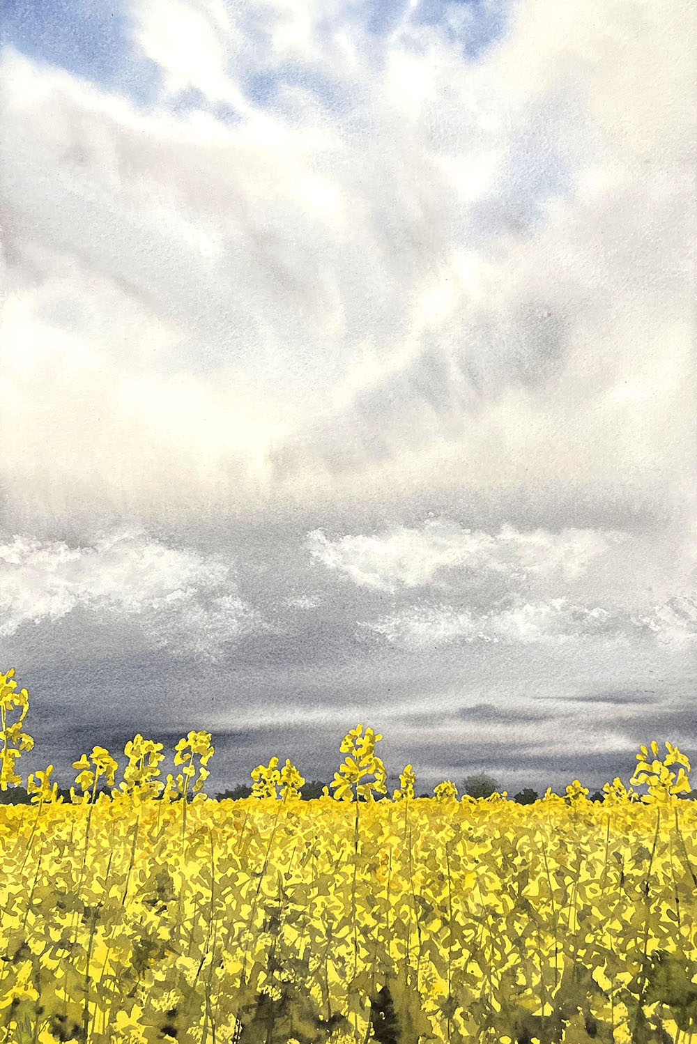 Jesper Hörberg - Raps SÅLD