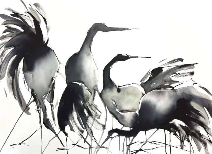 Ylva Molitor-Gärdsell - The black feather family